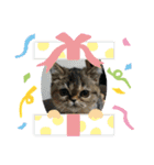 可愛いイッヌ〜＆ネッコ〜（個別スタンプ：8）