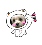 可愛いイッヌ〜＆ネッコ〜（個別スタンプ：16）