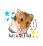 ゴールデンハムスターのこなつくん（個別スタンプ：2）