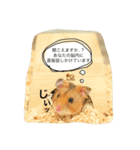 ゴールデンハムスターのこなつくん（個別スタンプ：10）