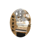 ゴールデンハムスターのこなつくん（個別スタンプ：13）