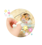ゴールデンハムスターのこなつくん（個別スタンプ：19）