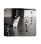 ゴールデンハムスターのこなつくん（個別スタンプ：23）