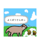 畜産科の動物の日常？（個別スタンプ：13）