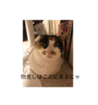 まるのスタンプにゃん（個別スタンプ：2）