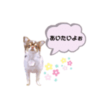 ちちたん王子2（個別スタンプ：3）