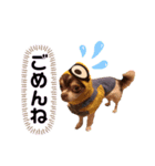 ちちたん王子2（個別スタンプ：4）