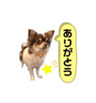 ちちたん王子2（個別スタンプ：8）