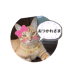 きな子シリーズ②（個別スタンプ：3）