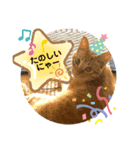 きな子シリーズ②（個別スタンプ：6）