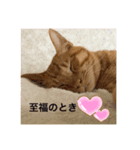 きな子シリーズ②（個別スタンプ：7）
