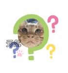 きな子シリーズ②（個別スタンプ：8）