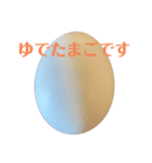 たまごです（個別スタンプ：1）