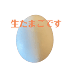 たまごです（個別スタンプ：2）