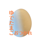 たまごです（個別スタンプ：3）