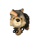 ちょっとおかしな犬（個別スタンプ：2）