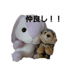 ちょっとおかしな犬（個別スタンプ：5）