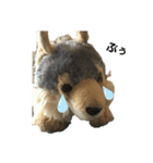 ちょっとおかしな犬（個別スタンプ：6）