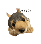 ちょっとおかしな犬（個別スタンプ：9）