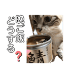 我が家のホワイトタイガー（個別スタンプ：30）