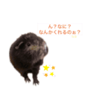 ❤︎ふくみちゃん❤︎（個別スタンプ：4）