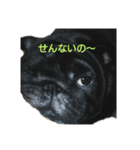 円蔵（個別スタンプ：2）