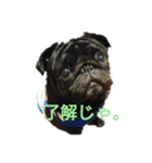 円蔵（個別スタンプ：3）