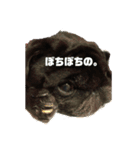 円蔵（個別スタンプ：6）