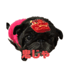 円蔵（個別スタンプ：8）