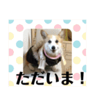 華No.1（個別スタンプ：4）