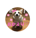 華No.1（個別スタンプ：5）
