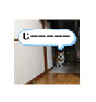 華No.1（個別スタンプ：9）