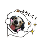 華No.1（個別スタンプ：11）
