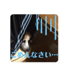 華No.1（個別スタンプ：12）
