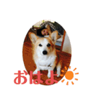 華No.1（個別スタンプ：15）