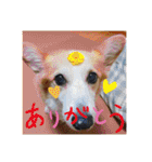 華No.1（個別スタンプ：18）
