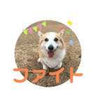 華No.1（個別スタンプ：21）