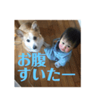 華No.1（個別スタンプ：23）