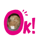 華No.1（個別スタンプ：27）