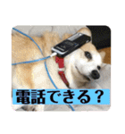 華No.1（個別スタンプ：32）