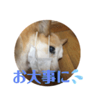 華No.1（個別スタンプ：35）