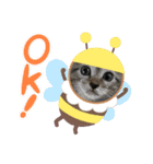 猫ほんわかスタンプ（個別スタンプ：5）
