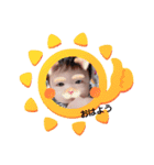 TakataFamily(1)（個別スタンプ：1）