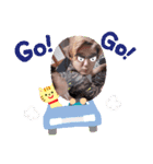 TakataFamily(1)（個別スタンプ：8）