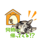 さびねこ鬼灯さん（個別スタンプ：1）