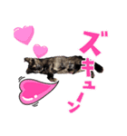 さびねこ鬼灯さん（個別スタンプ：6）