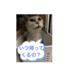 たまちゃんかわいいスタンプ（個別スタンプ：2）