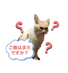 たまちゃんかわいいスタンプ（個別スタンプ：6）