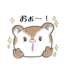 ねこくまのたぬちゃん（個別スタンプ：23）