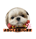 我が家の柑汰くん（個別スタンプ：14）